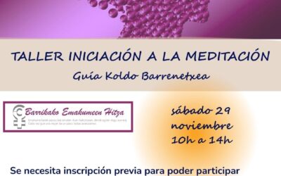 MEDITAZIOAN HASTEKO TAILERRA