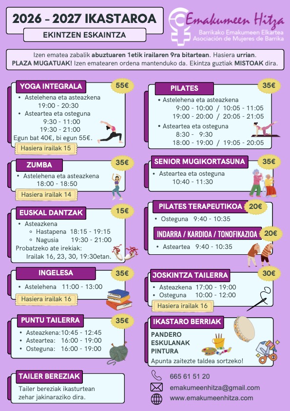 Eus-Flyer infografía de la empresa simple profesional multicolor